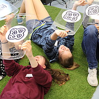 IMG 4764